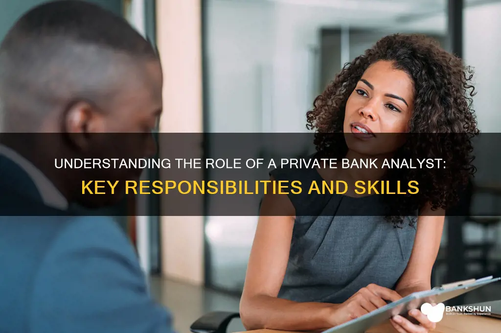 what does a private bank analyst do