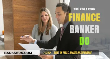 Understanding the Role of a Public Finance Banker in Government Funding