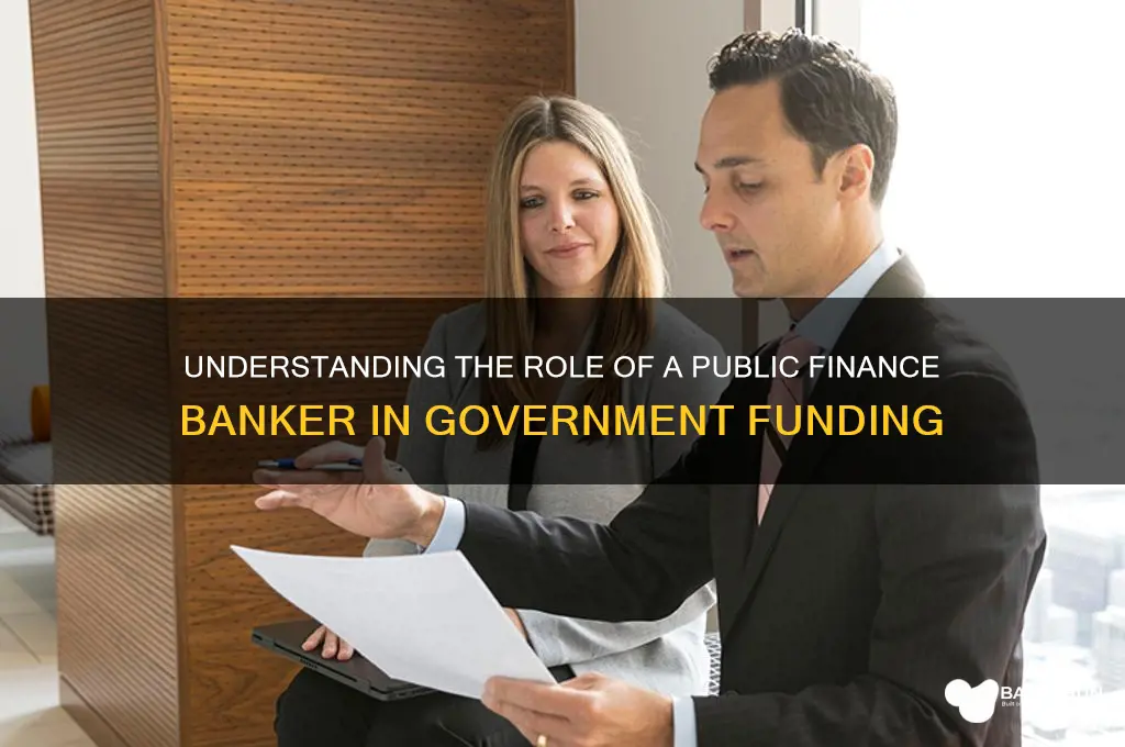 what does a public finance banker do