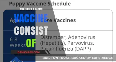 Understanding Rabies Vaccines: Components, Functionality, and Importance Explained