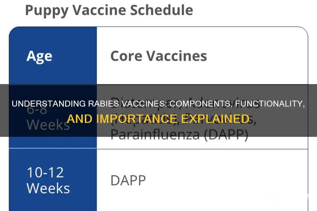 what does a rabies vaccine consist of