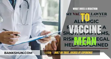Understanding Vaccine Reactions: Causes, Symptoms, and What They Indicate