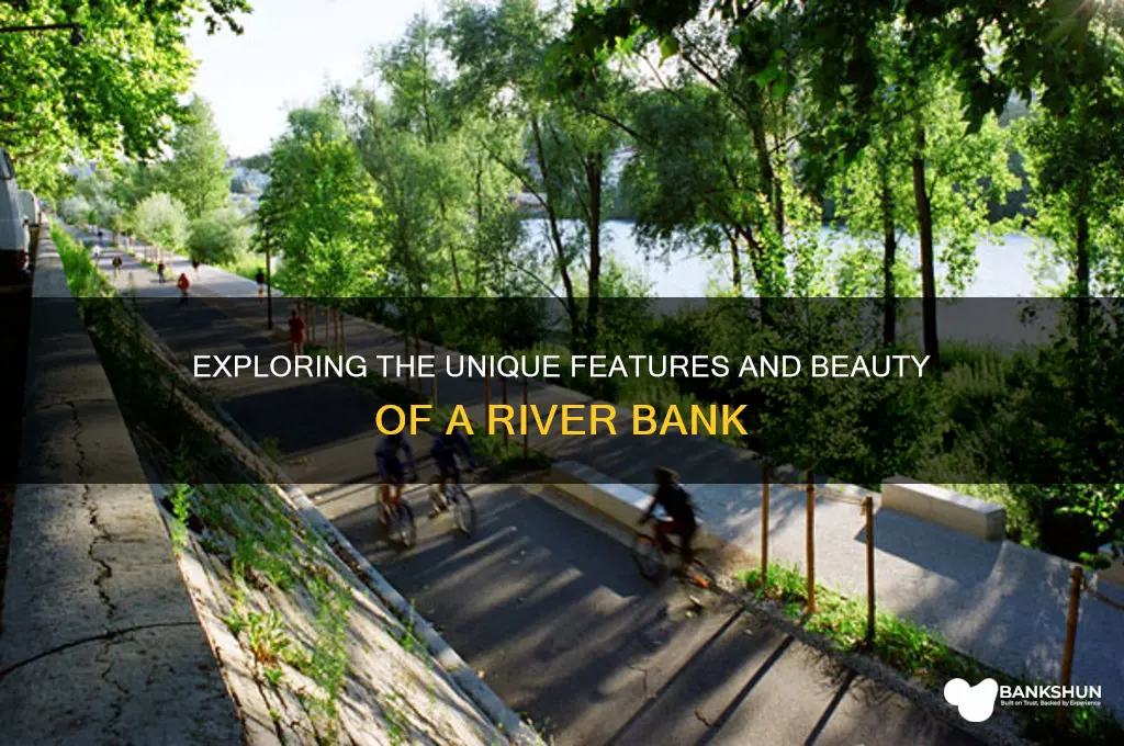 what does a river bank look like