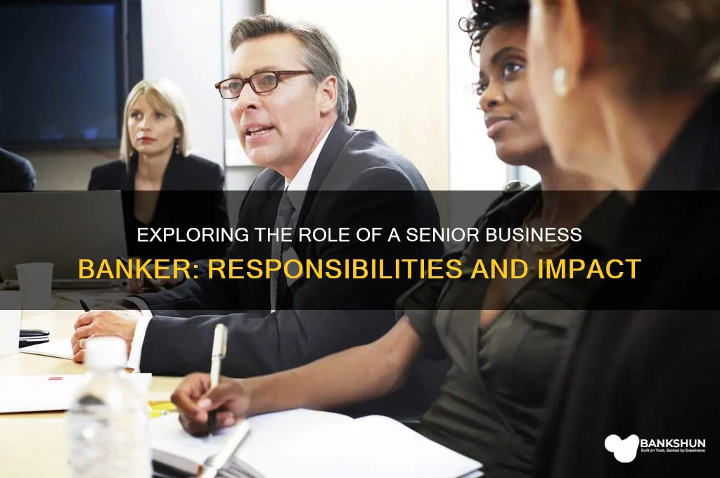 what does a senior business banker do