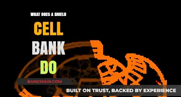 Understanding Shield Cell Banks: Functions, Benefits, and Applications Explained