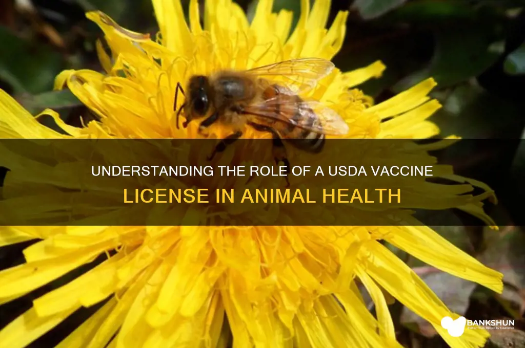 what does a usda vaccine license do
