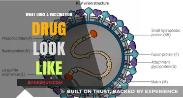 Unveiling the Structure: What Does a Vaccination Drug Look Like?