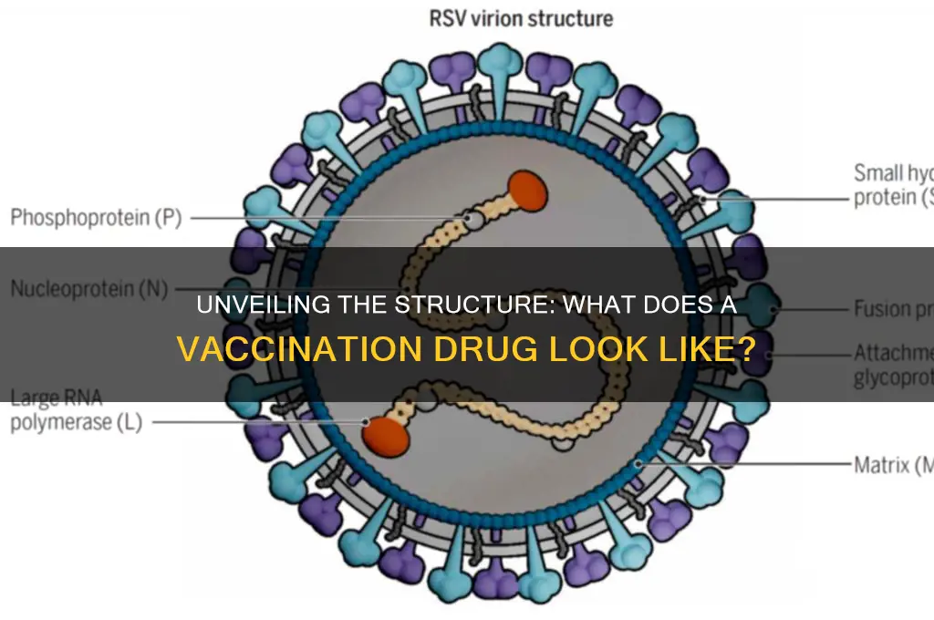 what does a vaccination drug look like