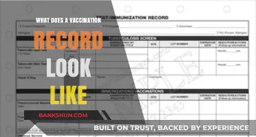 Understanding Your Vaccination Record: A Visual Guide to Immunization Documentation