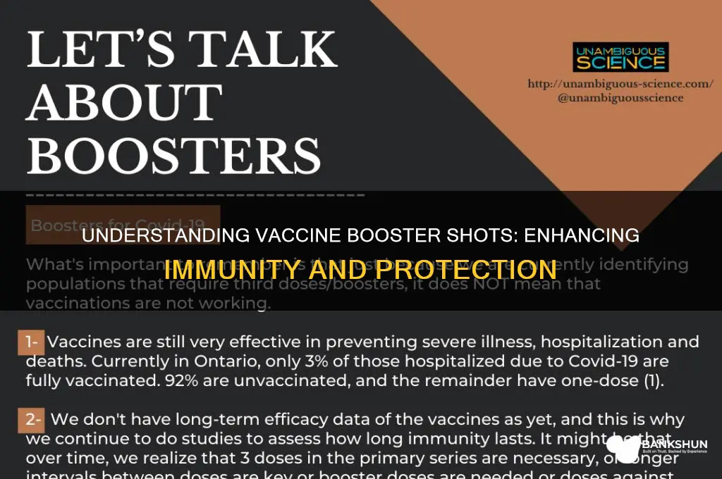 what does a vaccine booster shot do