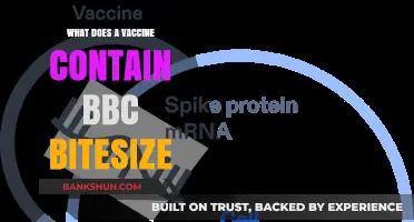 What's Inside a Vaccine? BBC Bitesize Explains Key Ingredients