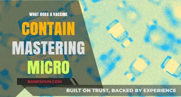 Understanding Vaccine Components: A Deep Dive into Micro Ingredients
