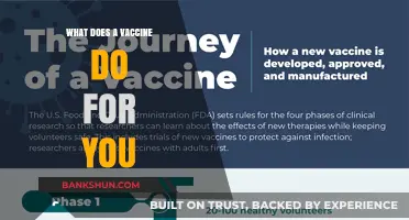 How Vaccines Strengthen Immunity, Prevent Diseases, and Protect Your Health