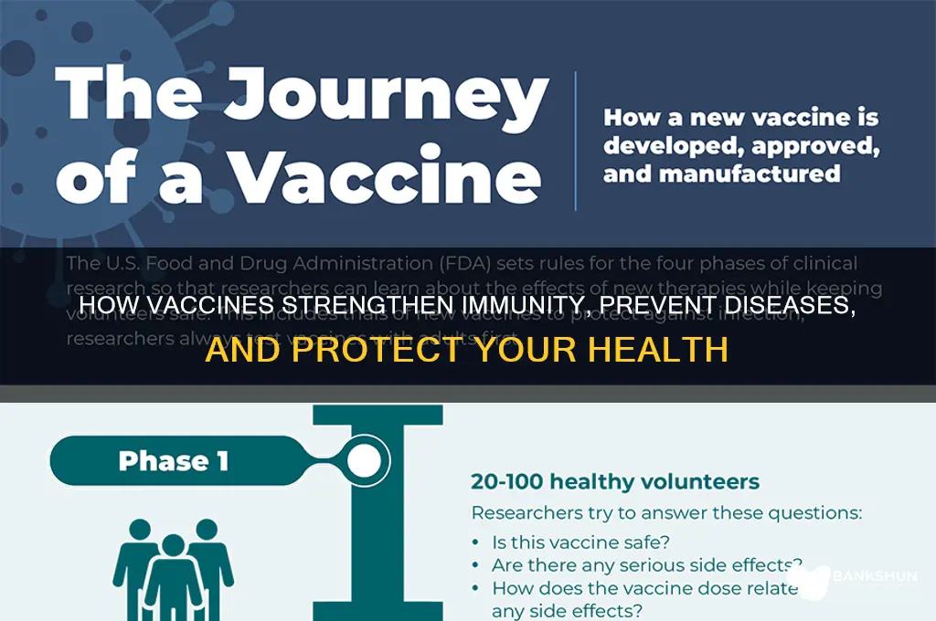 what does a vaccine do for you