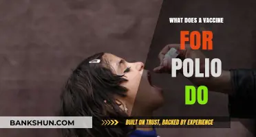 Understanding Polio Vaccines: How They Prevent Crippling Disease and Save Lives