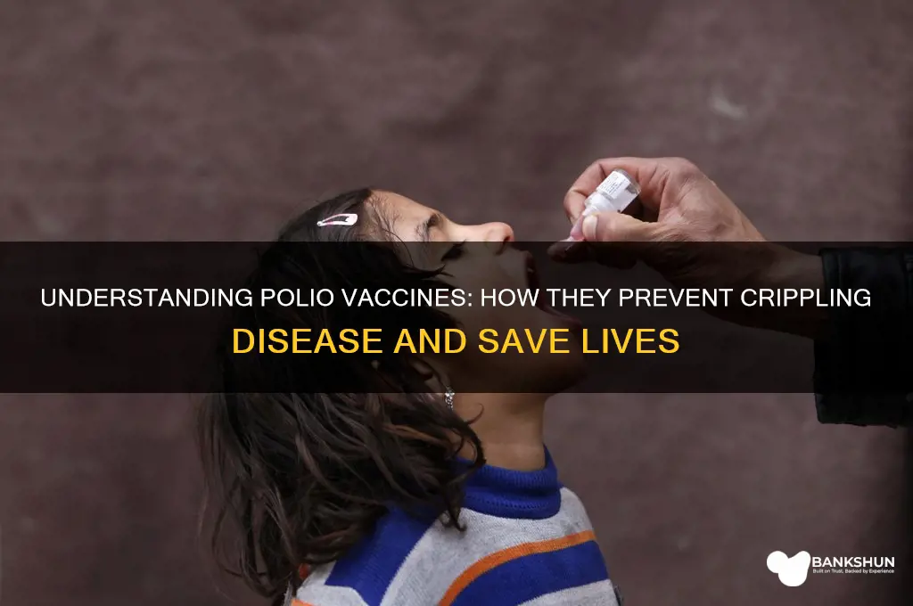 what does a vaccine for polio do