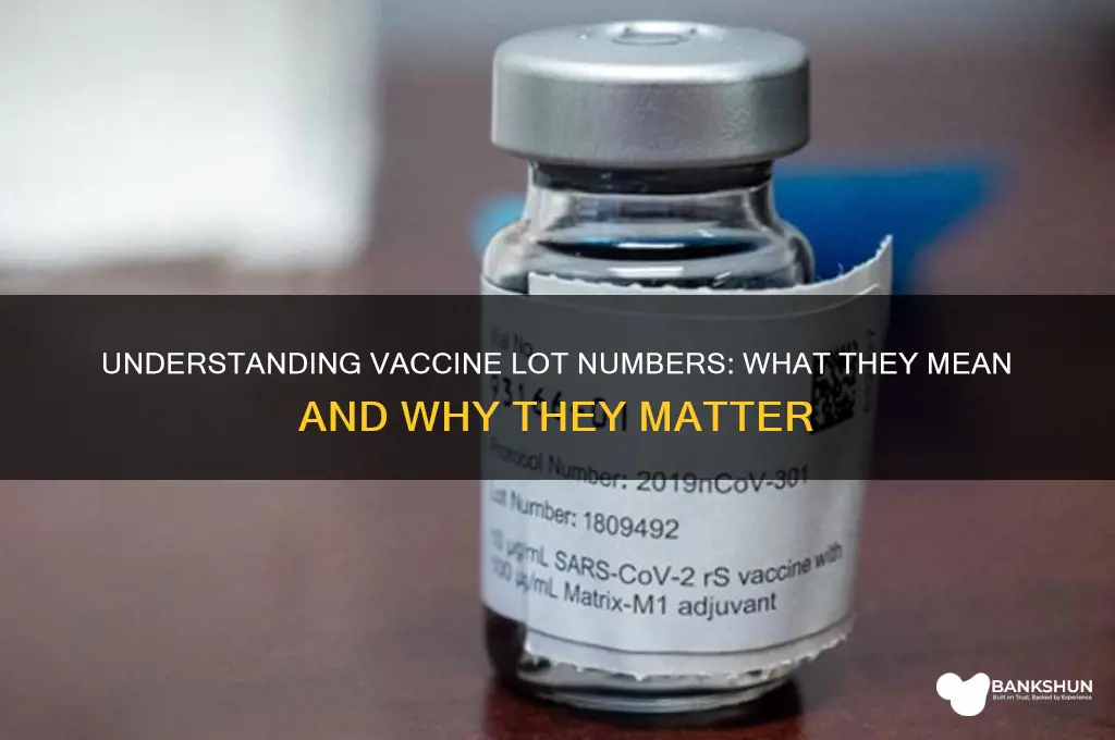 what does a vaccine lot number mean