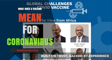 Understanding the Impact: What a Coronavirus Vaccine Means for the World