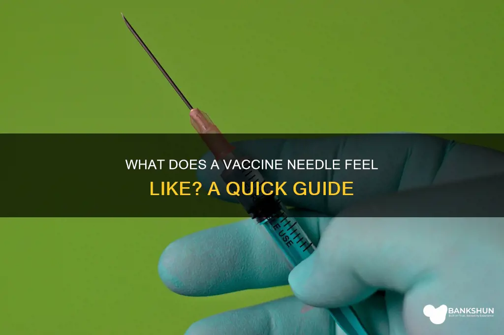 what does a vaccine needle feel like