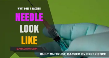 What Does a Vaccine Needle Look Like? A Visual Guide