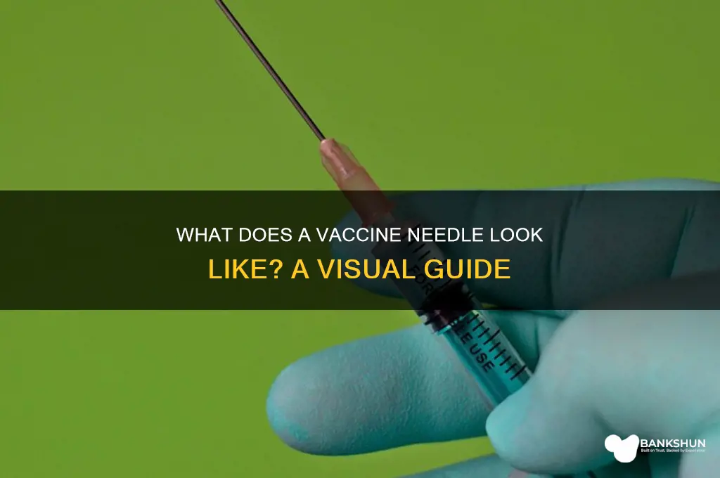 what does a vaccine needle look like