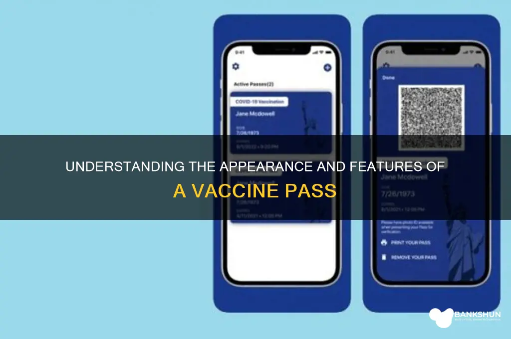 what does a vaccine pass look like