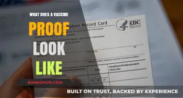 Understanding Vaccine Proof: What It Looks Like and Why It Matters