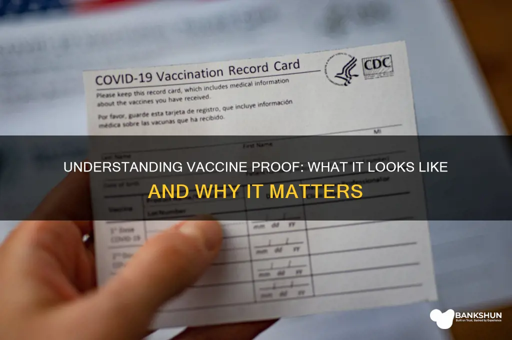 what does a vaccine proof look like