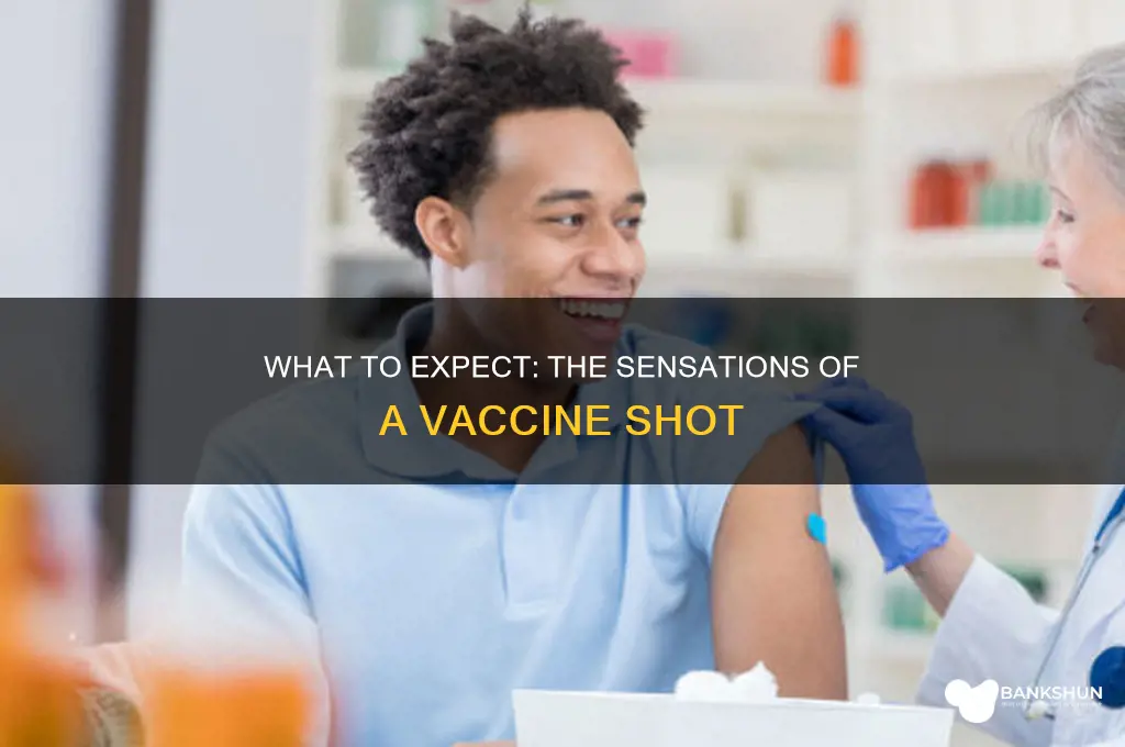 what does a vaccine shot feel like