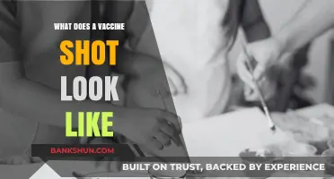 What Does a Vaccine Shot Look Like? A Visual Guide