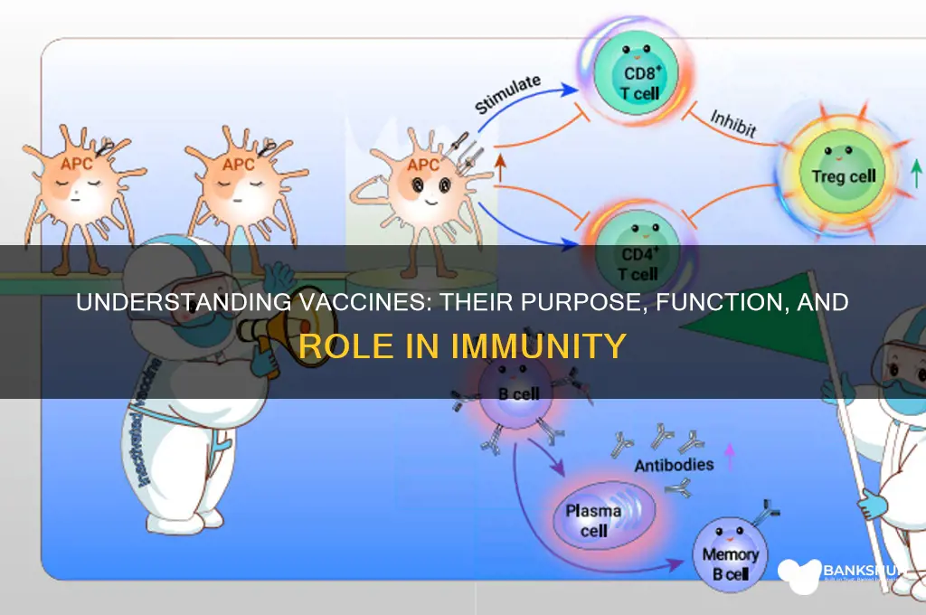 what does a vaccine supposed to do