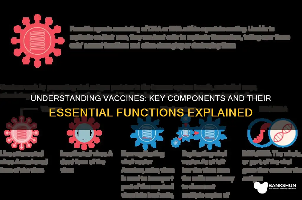 what does a vaccine usually consist of