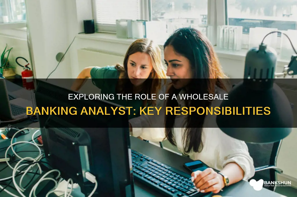 what does a wholesale banking analyst do