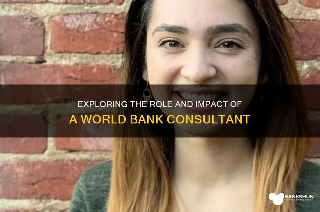 what does a world bank consultant do