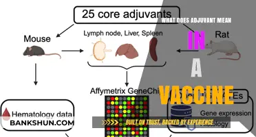 Understanding Adjuvants: Their Role and Importance in Vaccine Effectiveness