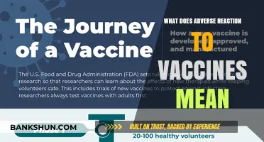 Understanding Adverse Reactions to Vaccines: Causes, Symptoms, and Management
