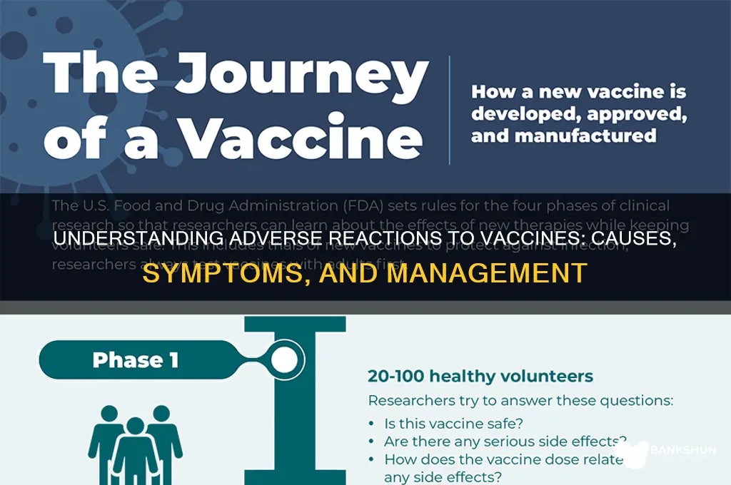 what does adverse reaction to vaccines mean