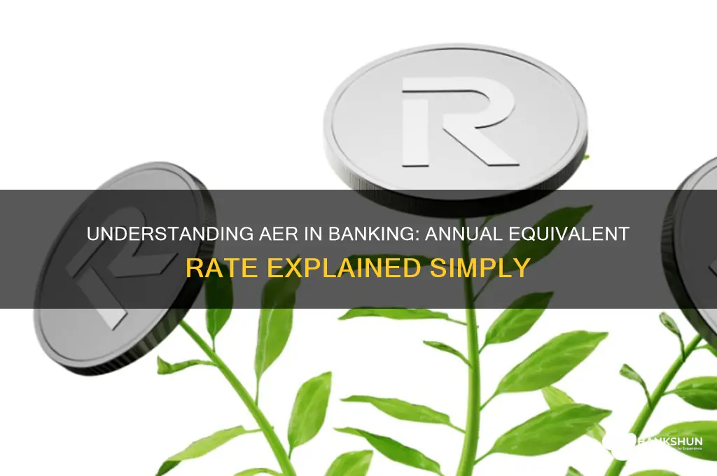 what does aer stand for in banking