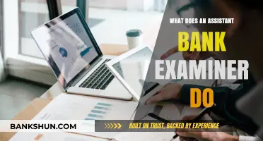 Assistant Bank Examiner Role: Responsibilities, Skills, and Career Path Explained