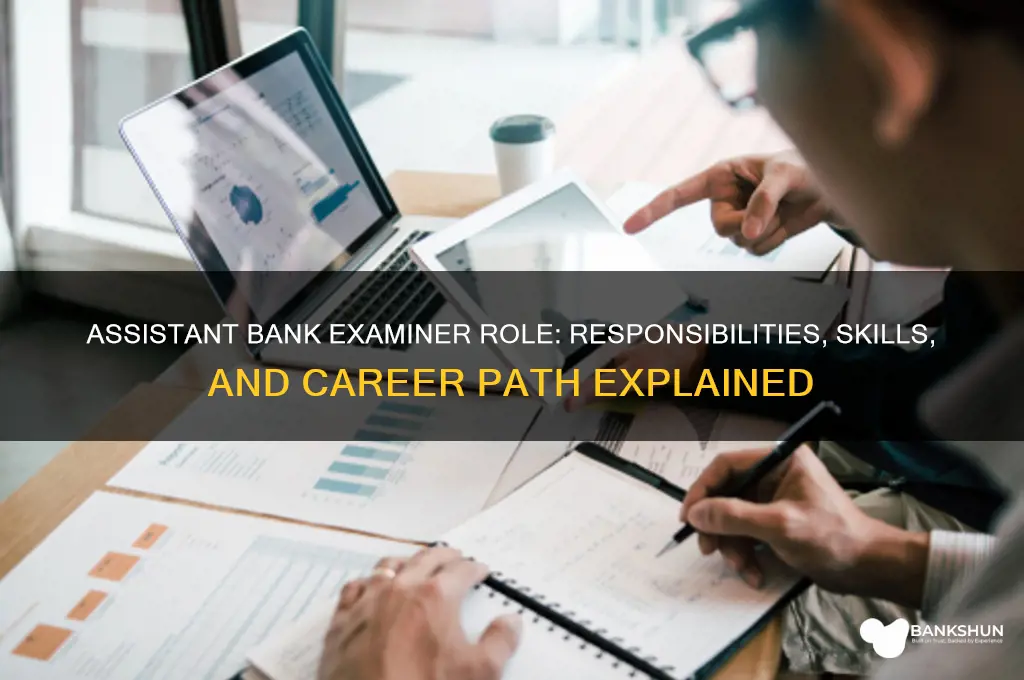 what does an assistant bank examiner do