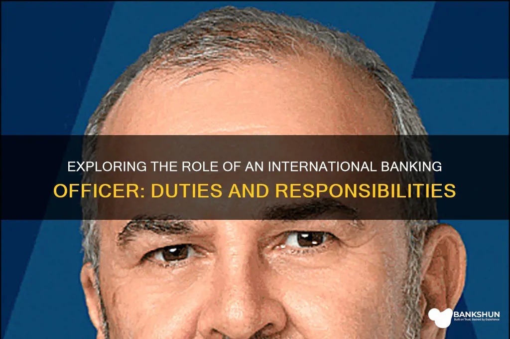 what does an international banking officer do