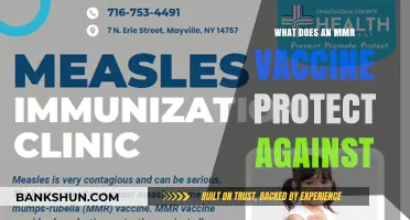 MMR Vaccine: Protecting Against Measles, Mumps, and Rubella Infections