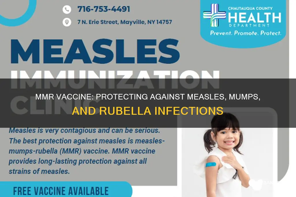 what does an mmr vaccine protect against