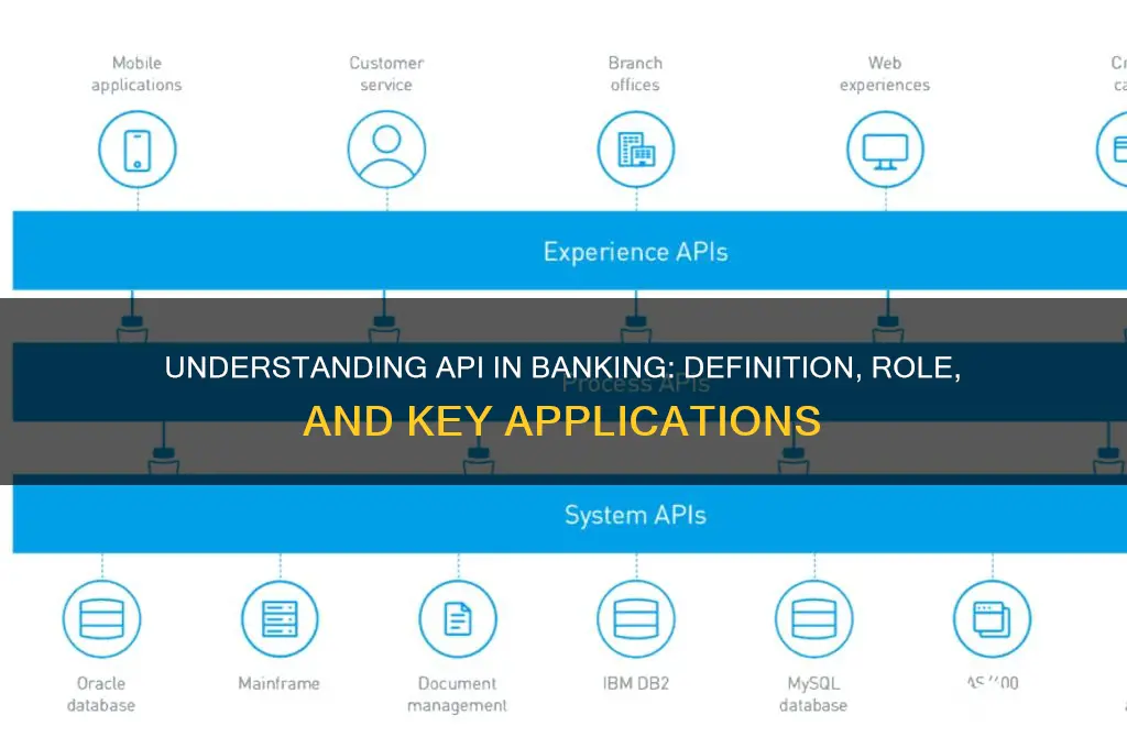 what does api stand for in banking