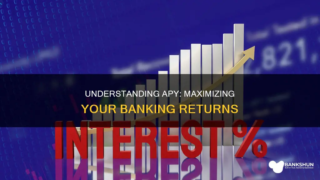 what does apy stand for in banking