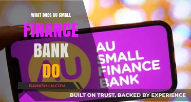 Understanding AU Small Finance Bank's Services and Operations