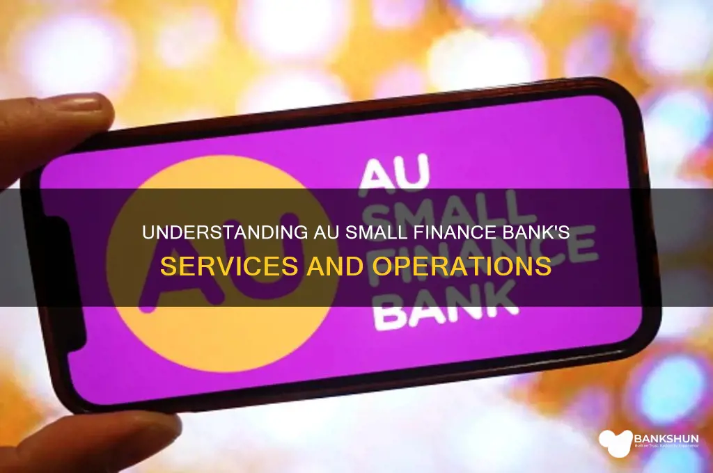 what does au small finance bank do