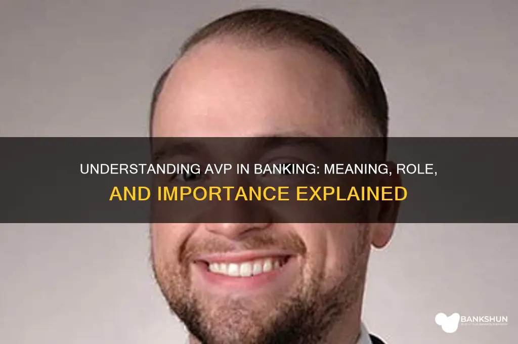 what does avp stand for in banking