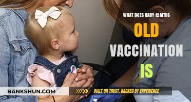 Understanding Your Baby's 12-Month Vaccination Schedule and Importance