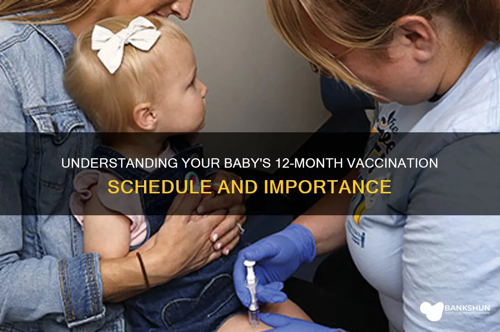 what does baby 12mths old vaccination is